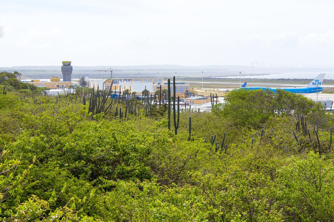 Curacao Airport Hotel Βίλλεμσταντ Εξωτερικό φωτογραφία